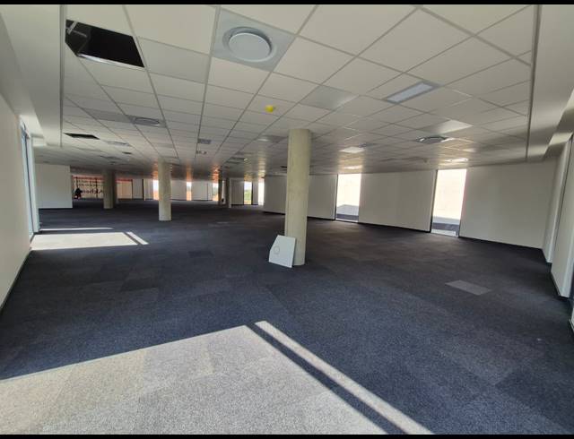 1,600M² OFFICE TO LET IN SANDTON CENTRAL